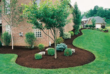 Pay attention to landscaping and curb appeal