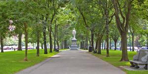 Commonwealth Avenue Mall