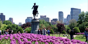 Boston Public Gardens